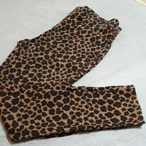 Terra Sky Animal print jeggings Sz 14 W